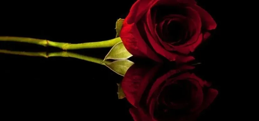 OnlyFans cuenta mixxedfruit header 1