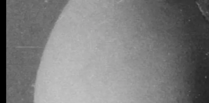 OnlyFans cuenta lizdonnattella header 2