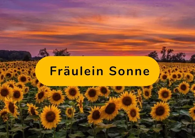 OnlyFans account  miss.sun687 header 2