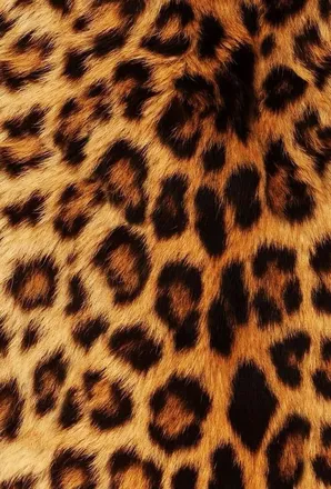 OnlyFans cuenta babylaurxo header 2