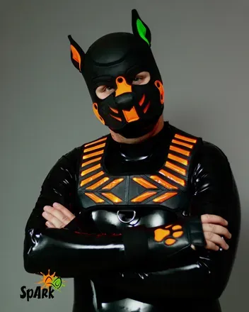 OnlyFans cuenta puppyspark_muc avatar 1