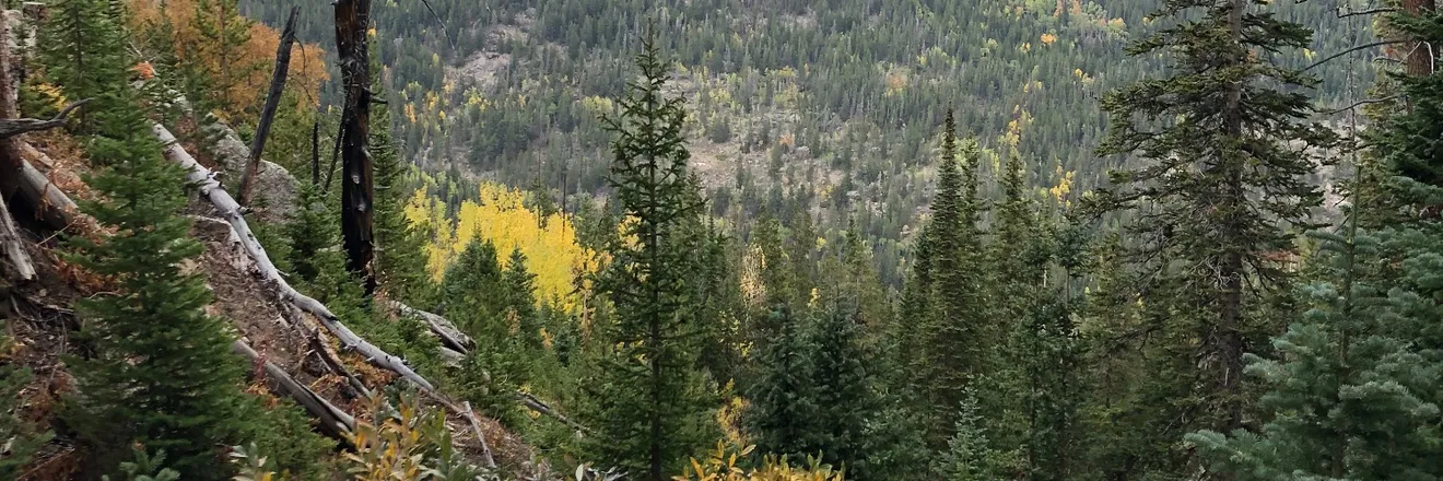 OnlyFans cuenta mountain_otter_xl header 2