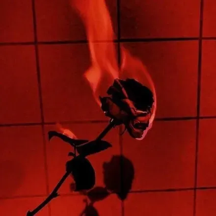 OnlyFans cuenta rosenyxandpetals header 2