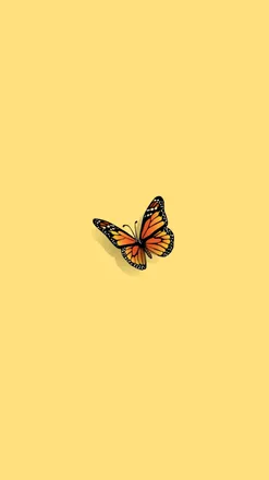 OnlyFans account  wtfizzy header 2