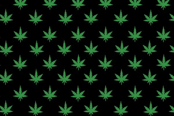 OnlyFans cuenta spacebooty420 header 2