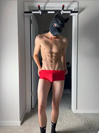 OnlyFans cuenta pupboi avatar 1