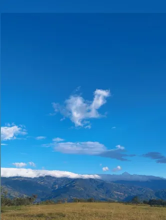 OnlyFans cuenta lunabloom010 header 2