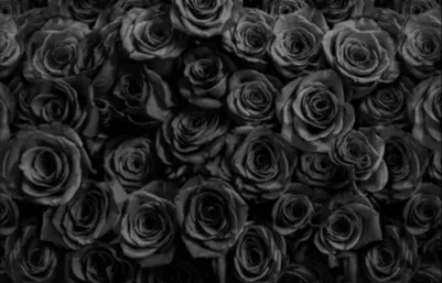 OnlyFans cuenta leyahjay header 2