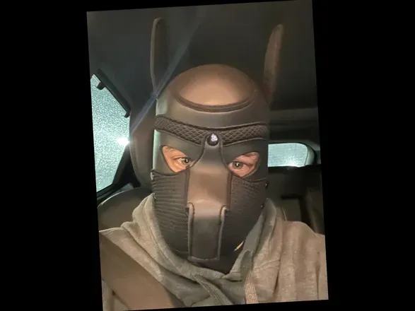 OnlyFans cuenta astrothepup avatar 1