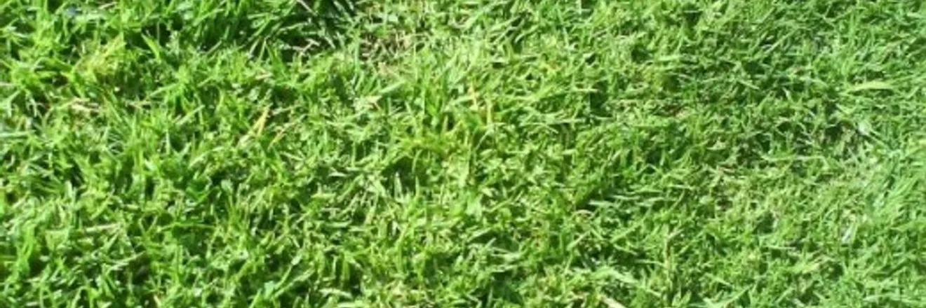 OnlyFans cuenta luisrodriguezrg header 2
