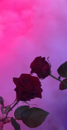 OnlyFans cuenta jelisabeths header 2