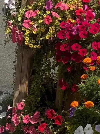 OnlyFans cuenta flowergirl0 avatar 1
