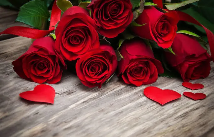 OnlyFans cuenta queenravenrose header 2