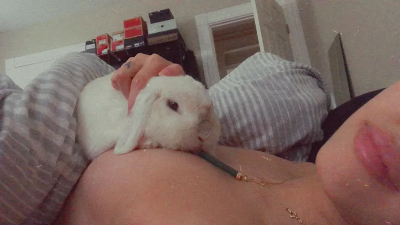 OnlyFans cuenta bunniefeetish header 2