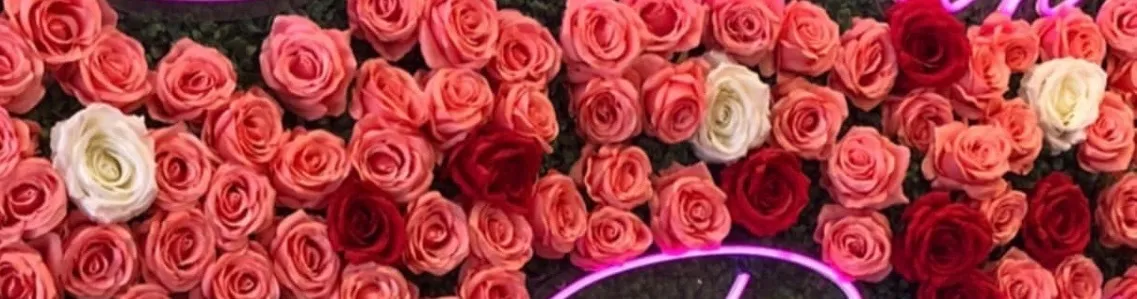 OnlyFans account  trynmake header 2