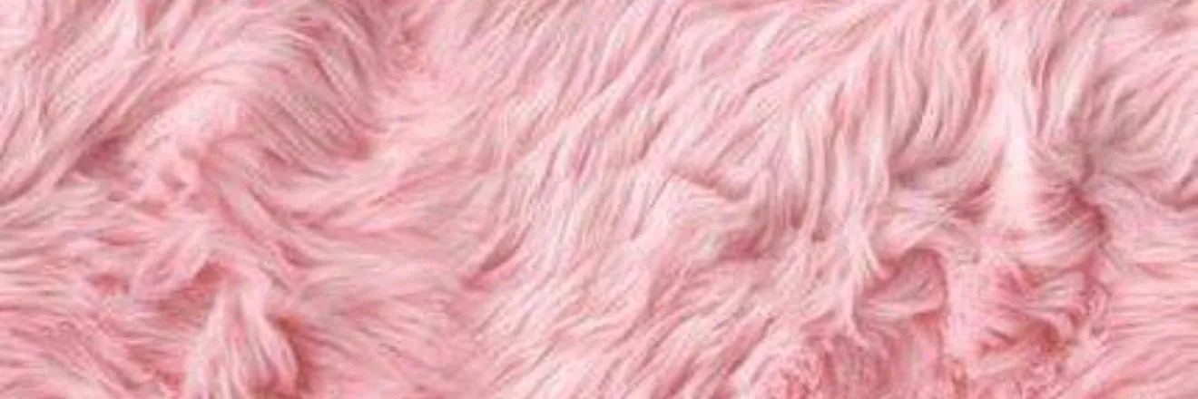OnlyFans cuenta lexiabragaa header 2