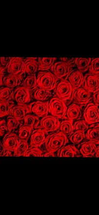OnlyFans cuenta dawnieroseee header 2
