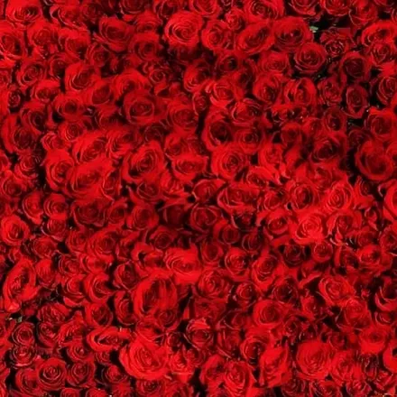 OnlyFans cuenta natural.love header 2