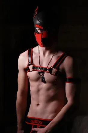 OnlyFans cuenta gaynorwegianpup avatar 1