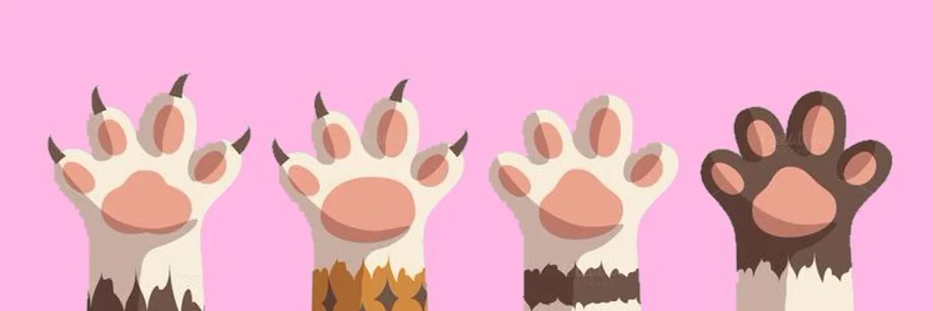 OnlyFans cuenta prettypawsss header 2