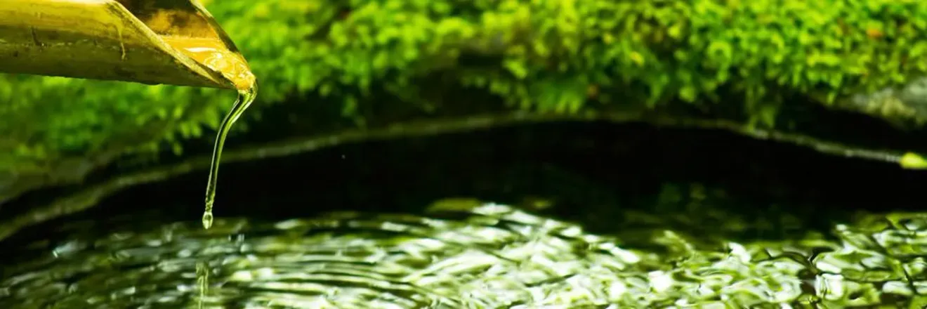 OnlyFans cuenta nadeshikoedging header 2
