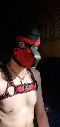 OnlyFans cuenta pupcrixus avatar 1