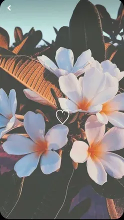 OnlyFans cuenta yourparadise997 header 2