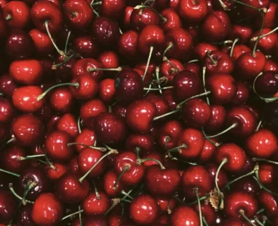 OnlyFans cuenta cherrypiefy header 2