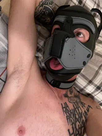 OnlyFans cuenta rykerthepup header 2