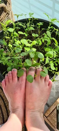 OnlyFans cuenta feetfetiishh avatar 1