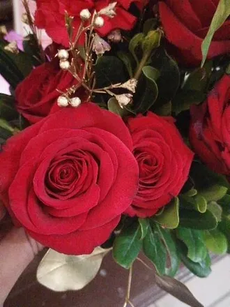 OnlyFans cuenta black.queenr header 2