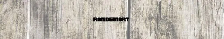 OnlyFans account  rondemort header 2
