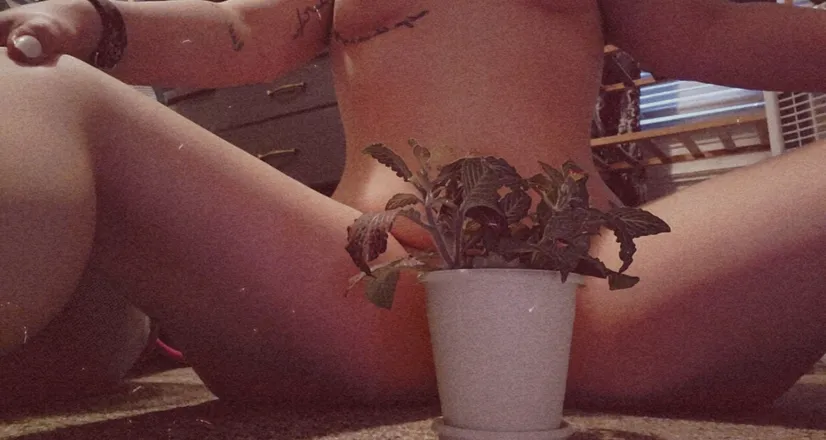 OnlyFans account  nakedplantlady1 header 2