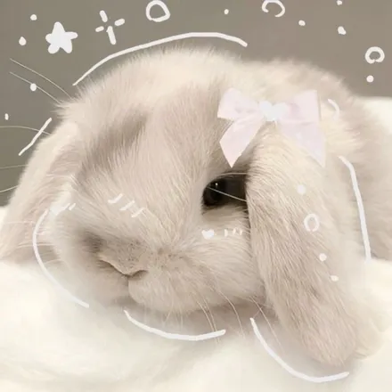 OnlyFans cuenta snowbunnieebaby header 2