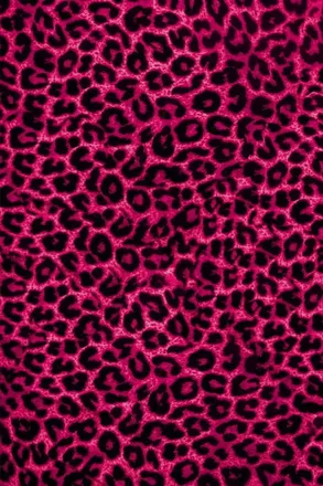 OnlyFans account  dimplesdabrat00 header 2