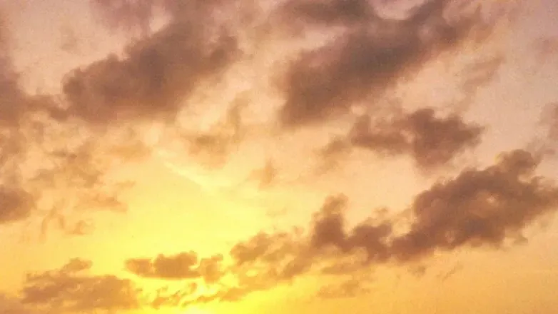 OnlyFans cuenta youngvladi header 2