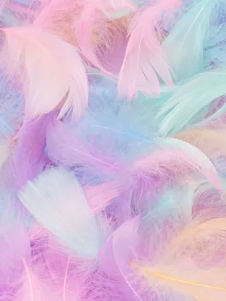 OnlyFans cuenta pam_boom header 2