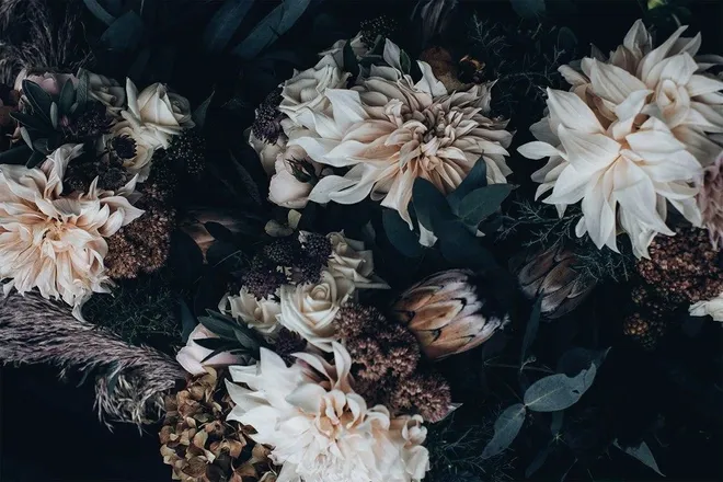 OnlyFans cuenta aeris_from_midgar header 2