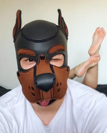 OnlyFans cuenta pup-nova header 2