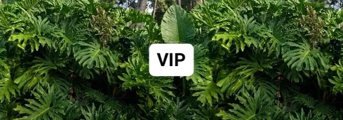OnlyFans cuenta ejaywoods header 2