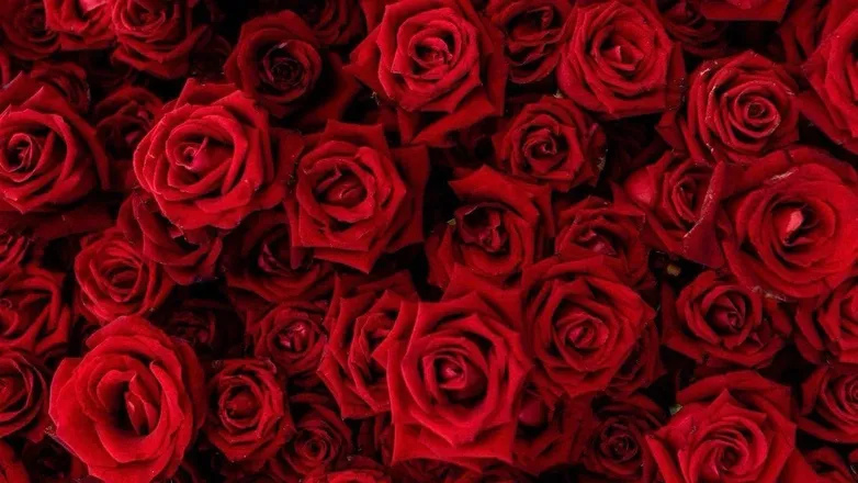OnlyFans cuenta darcie_delilah7 header 2