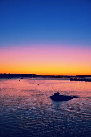 OnlyFans cuenta wanderlustxx header 2
