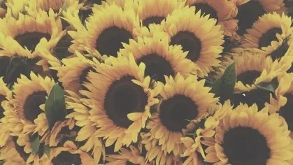 OnlyFans cuenta prettyeyedbaby header 2