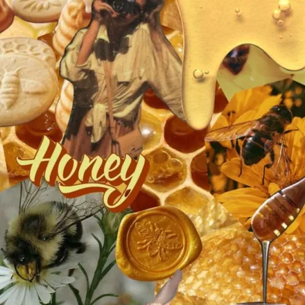 OnlyFans cuenta sweet.honey.bea header 2