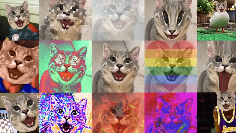 OnlyFans cuenta thecatt header 2