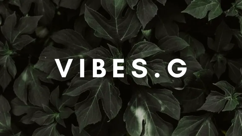 OnlyFans cuenta vibes.g header 2