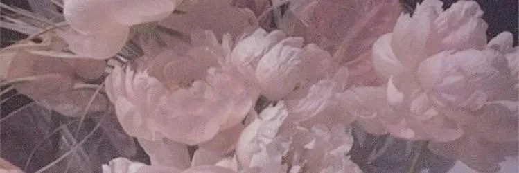 OnlyFans cuenta prettylilpetal header 2