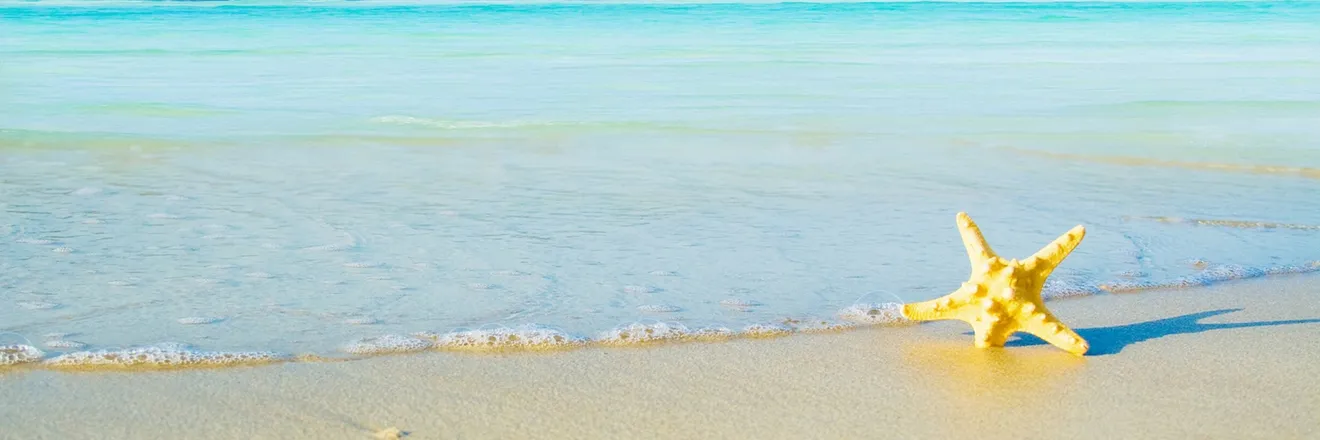 OnlyFans cuenta coastalcubbie header 2
