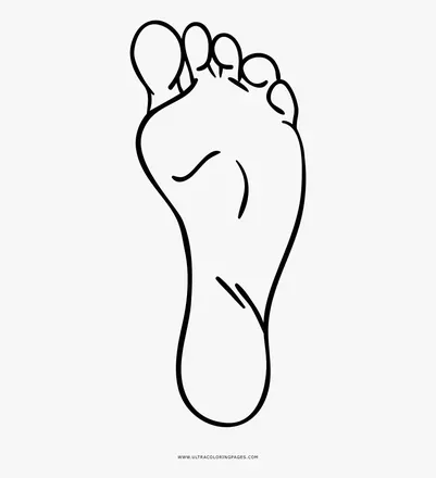 OnlyFans cuenta mmtoes2 avatar 1