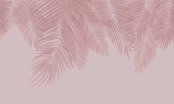 OnlyFans cuenta quad_e02 header 2